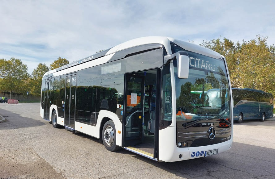 Tomás Ribeiro tweet media