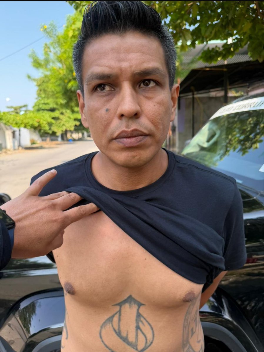 ʜᴀʟᴄᴏ́ɴ ᴀᴢᴜʟ tweet media