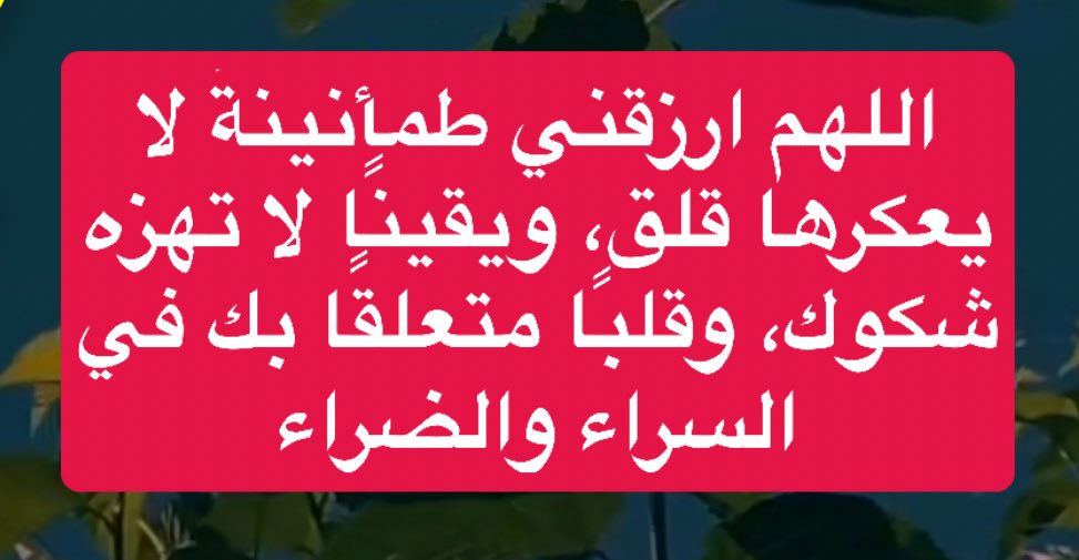 المتوكلة🇸🇦 tweet media