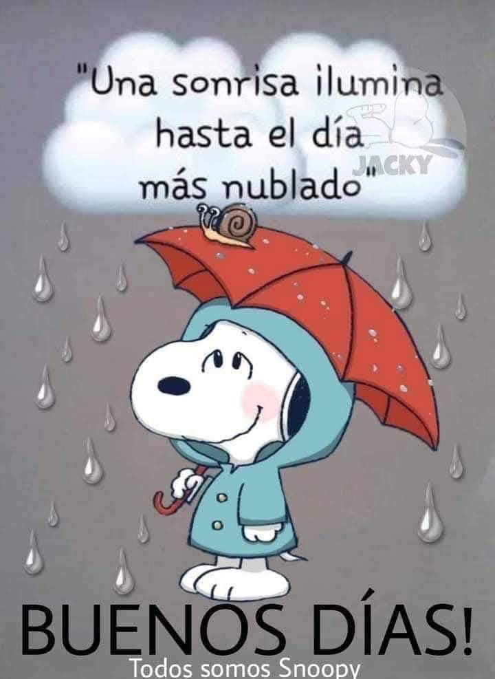 YovyML💞 tweet media