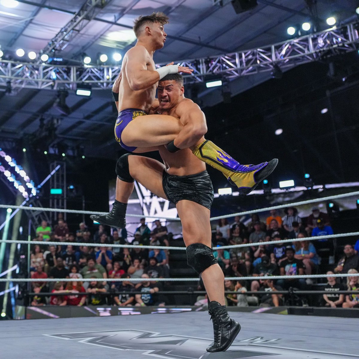 Daily Dion tweet media