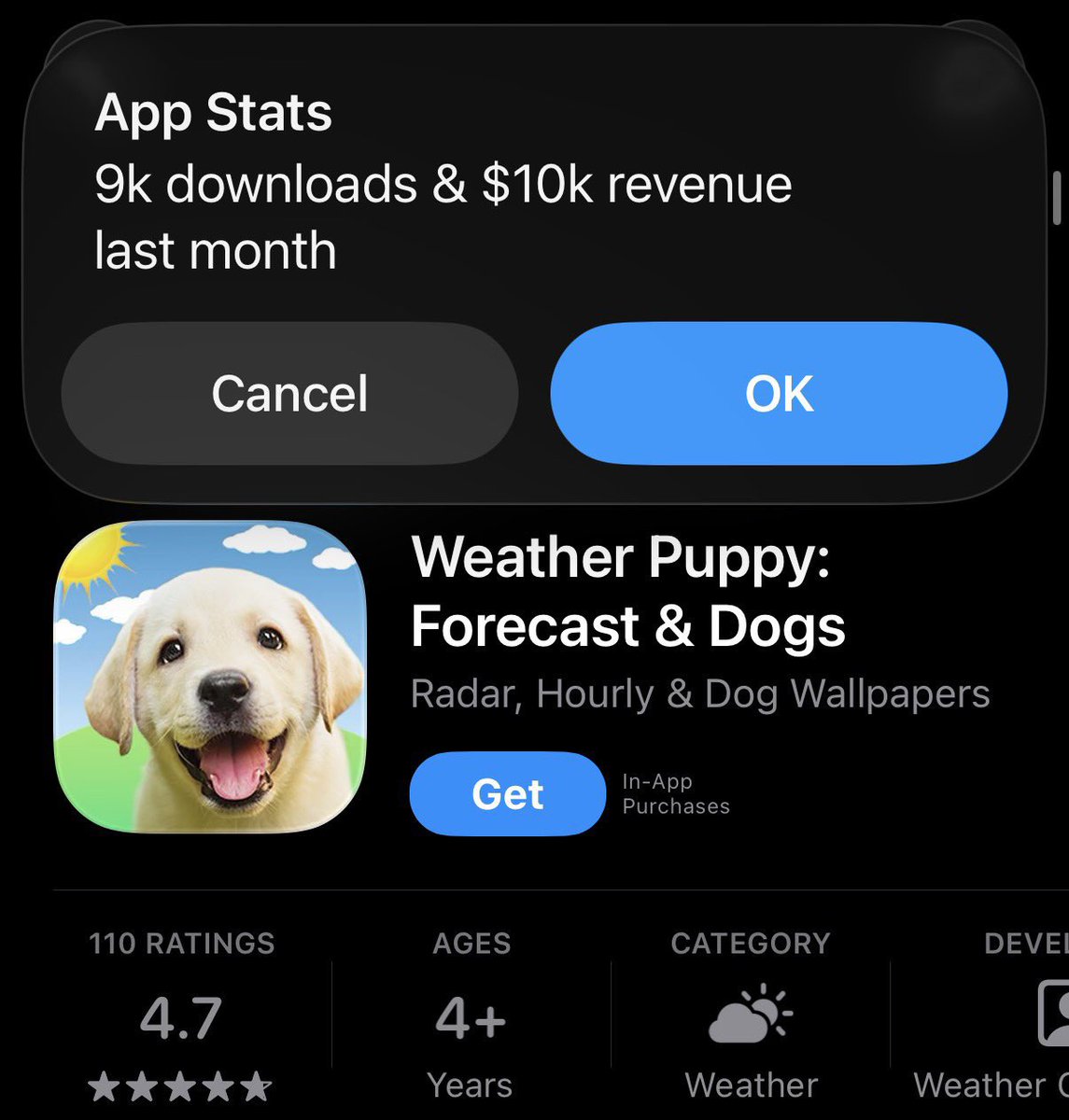 how do some people see these App stats?
And are these stats accurate?

(picture collected)