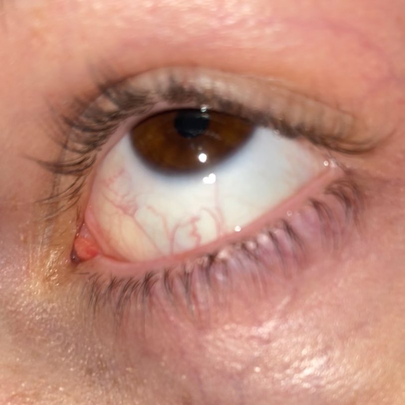 sarah 𓂀 tweet media