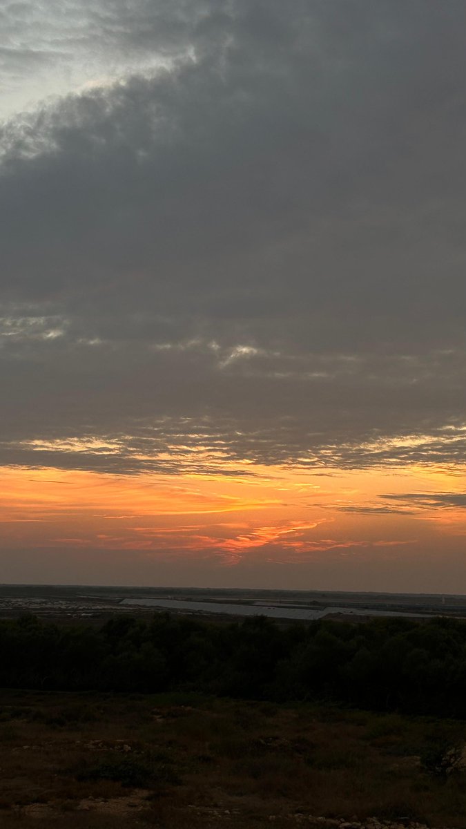 aamir raz tweet media