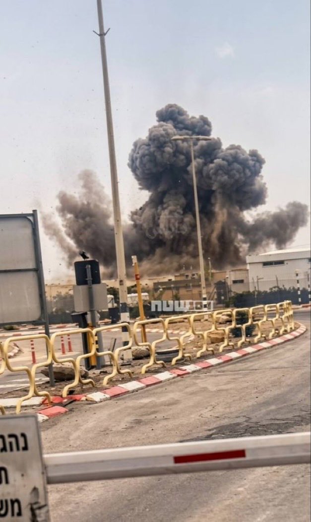 ĐⱤØ₲Ø🇺🇸 tweet media