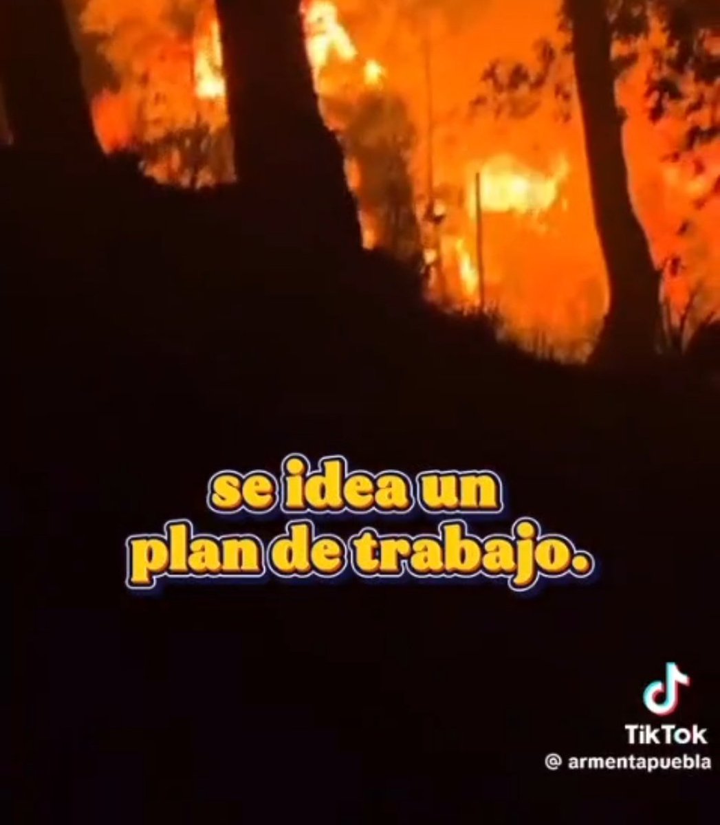 El hijo del Pueblo tweet media