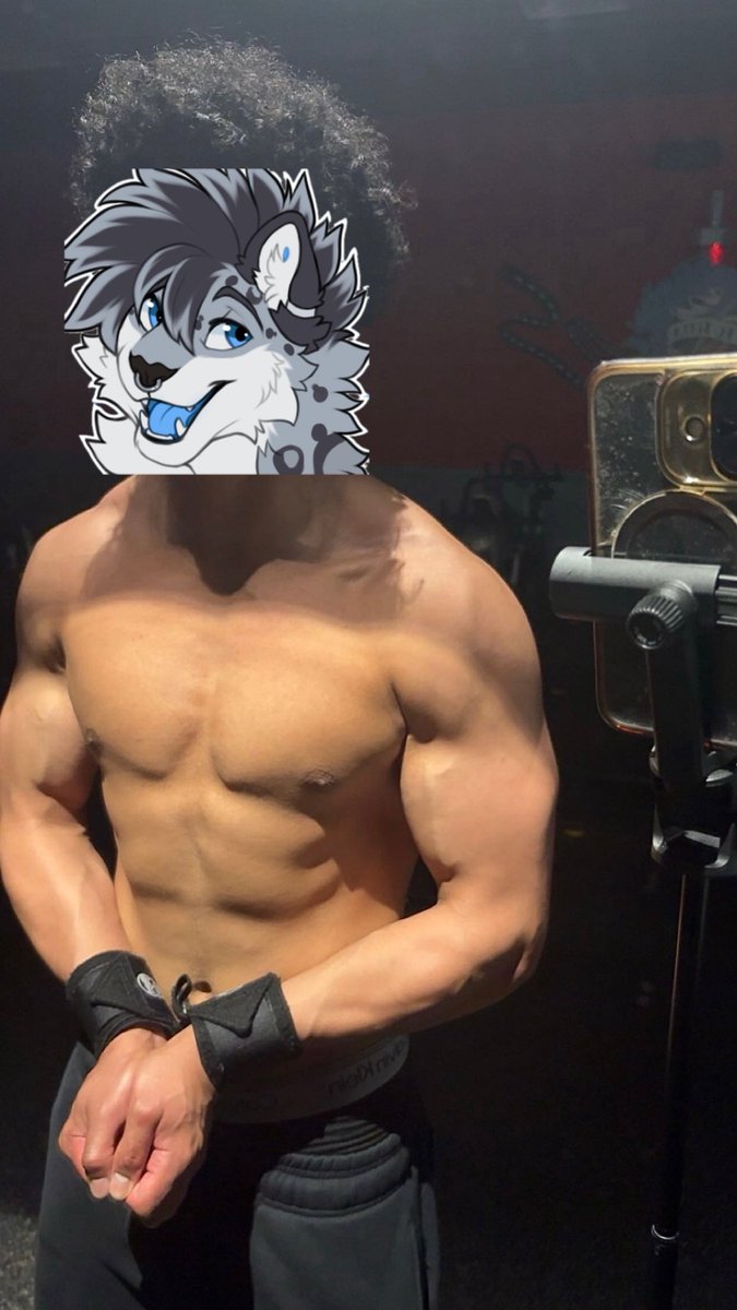 Puffuls 🔜 AC tweet media