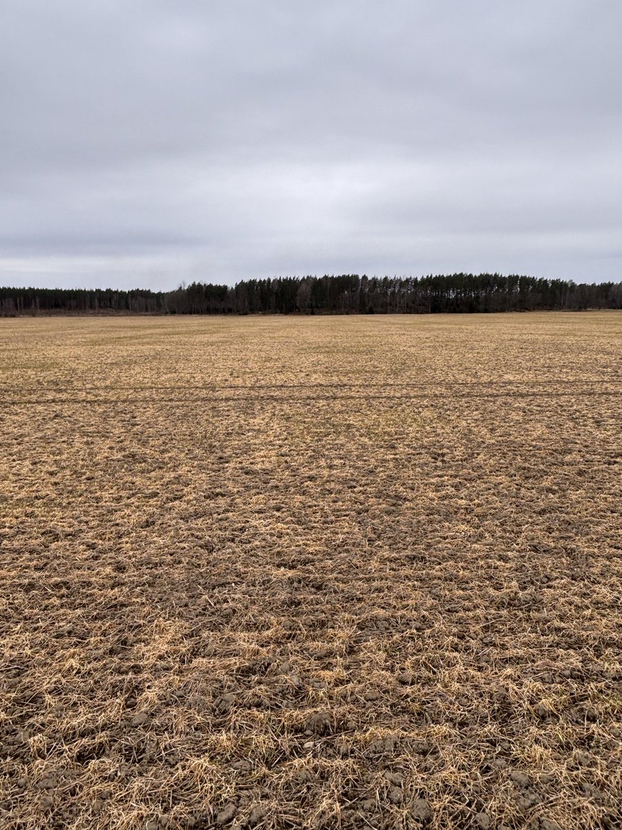 Alexander von Bothmer tweet media