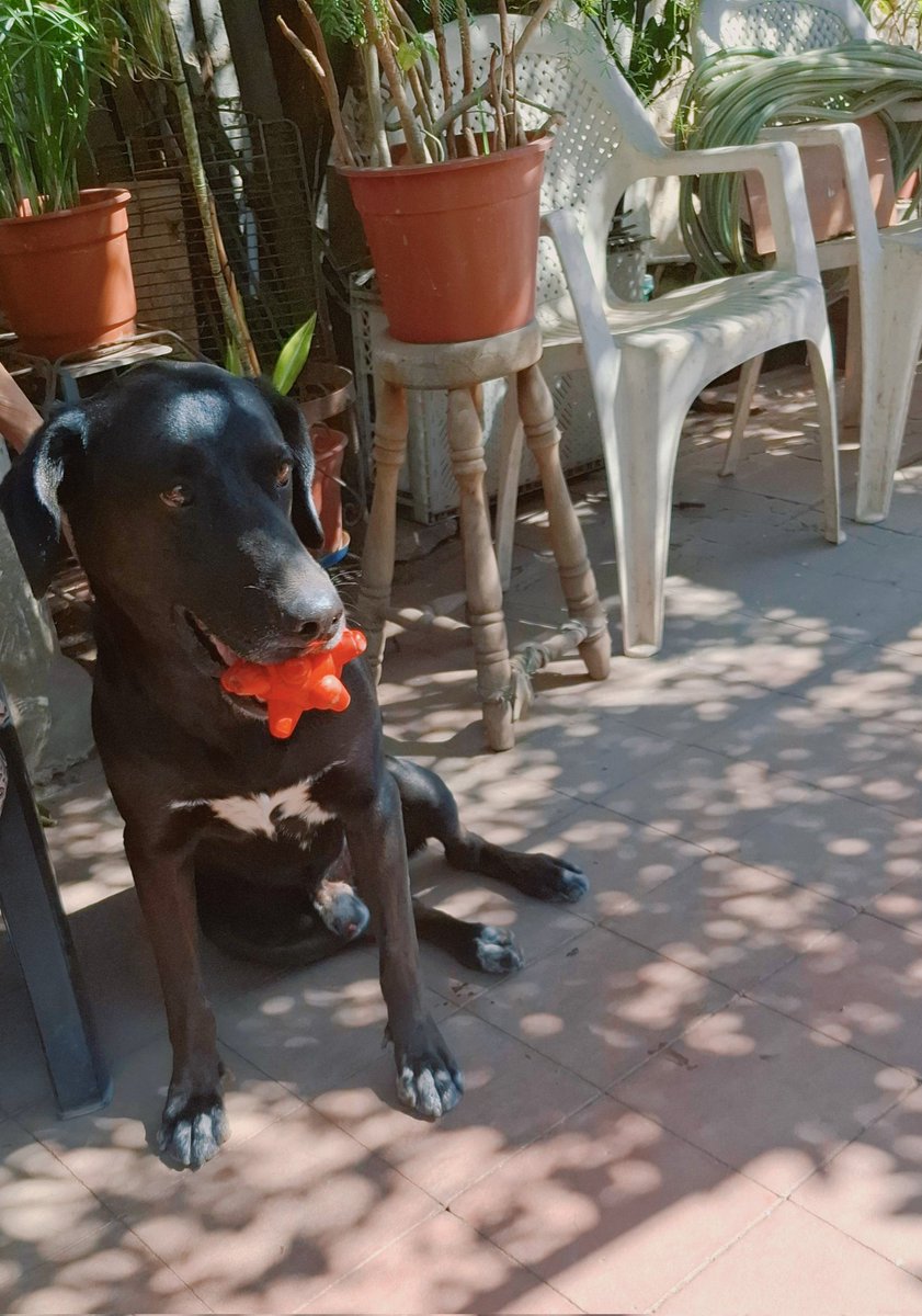 Charlotte 🇨🇱 🎸🎬📚 tweet media