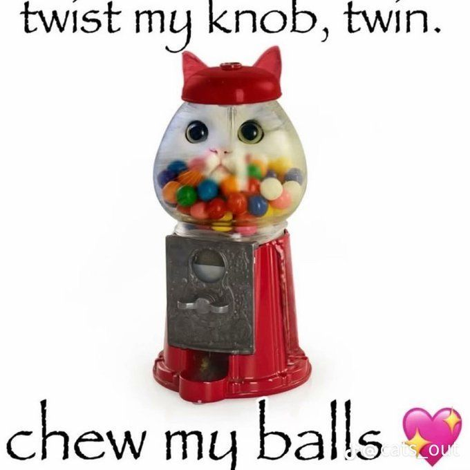 𝖈𝖍𝖆𝖇𝖆𝖟𝖎𝖙𝖊 tweet media