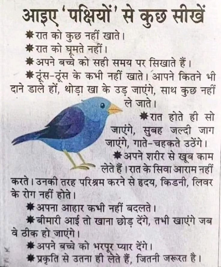 आइए 'पक्षियों' से कुछ सीखें..