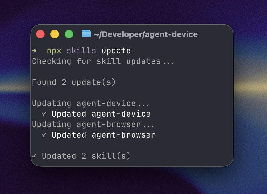 Skills update output