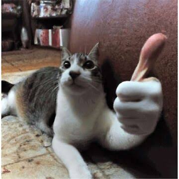 el Kevin. tweet media