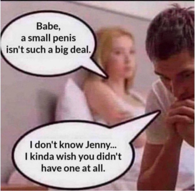 free mind echochamber tweet media