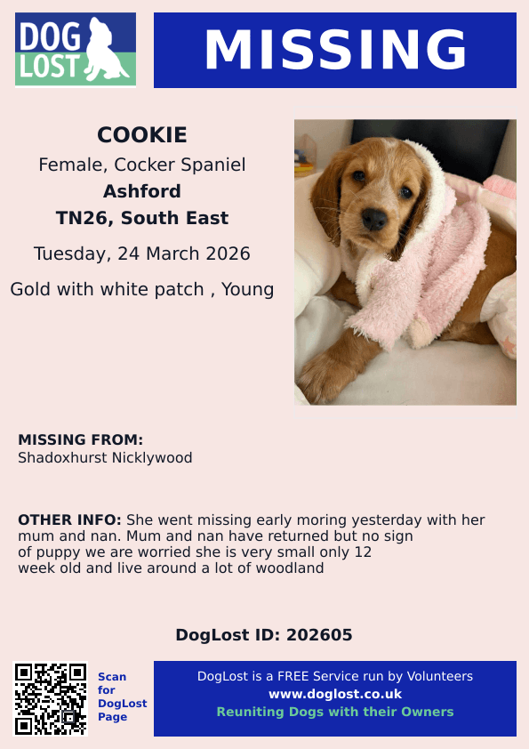 chris towers tweet media