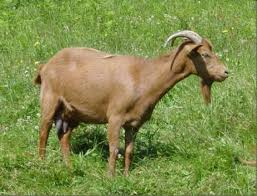 𝕄𝕖𝕝𝕝𝕒𝕠 𝟚.𝟘 tweet media