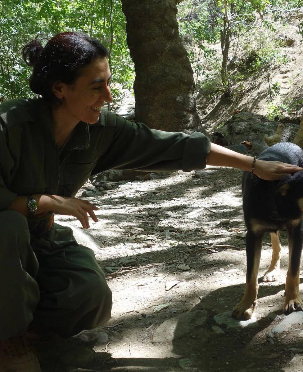 Zerdeşt Roj tweet media