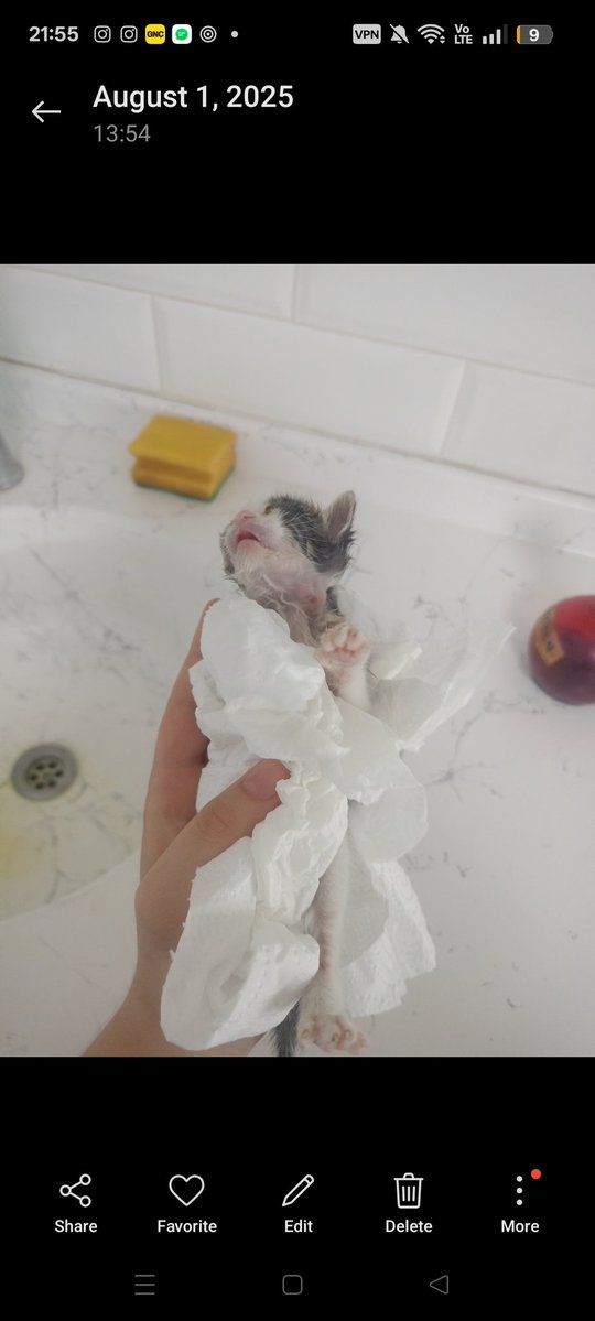 gumi for fortnite tweet media