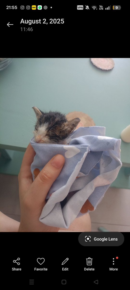 gumi for fortnite tweet media