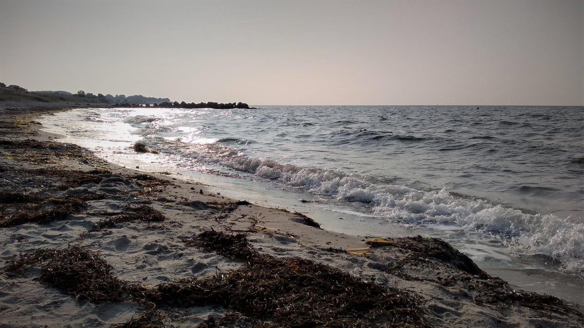 Steybey 🏳️🌈 tweet media