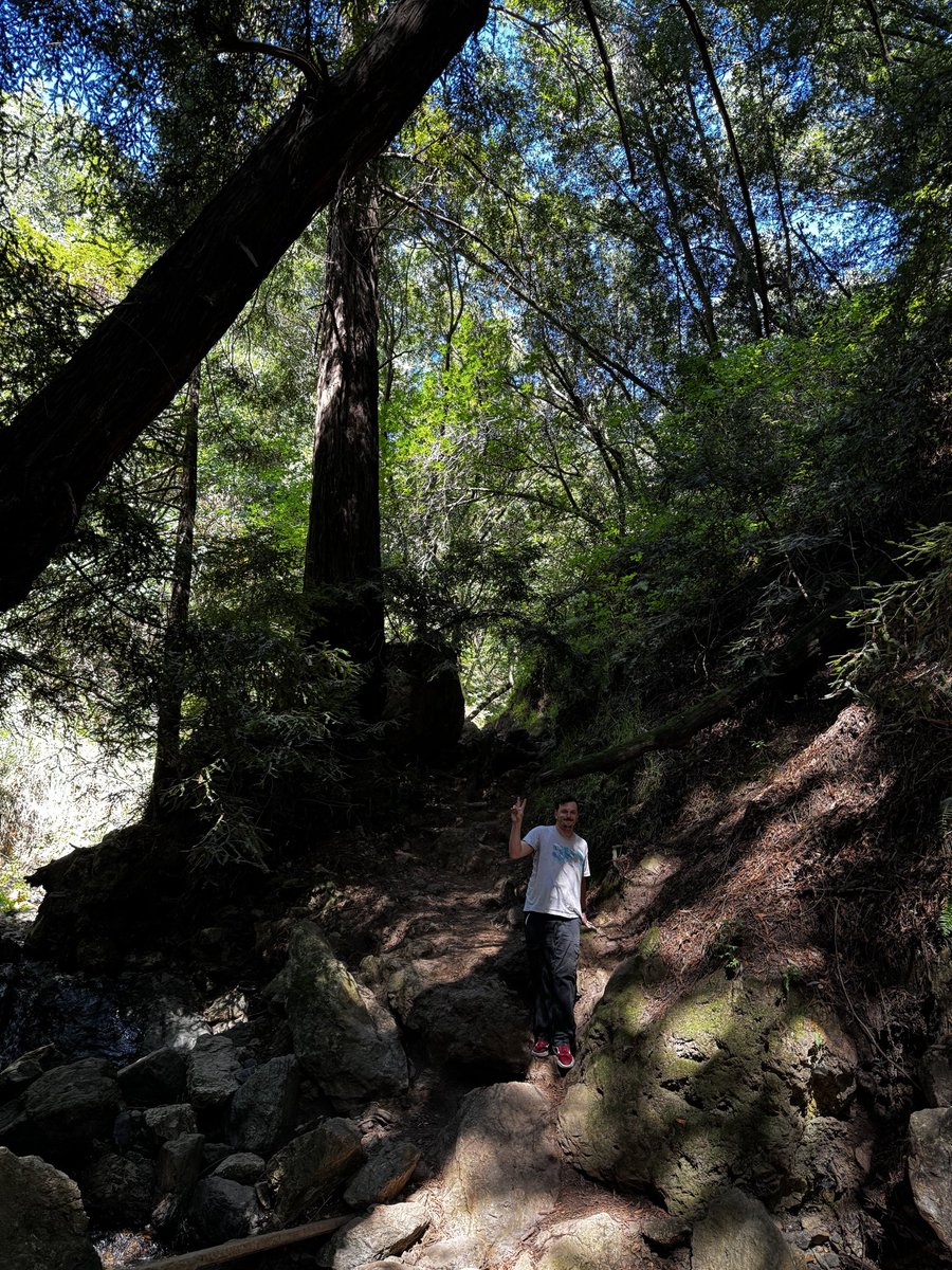 Howling Giant tweet media