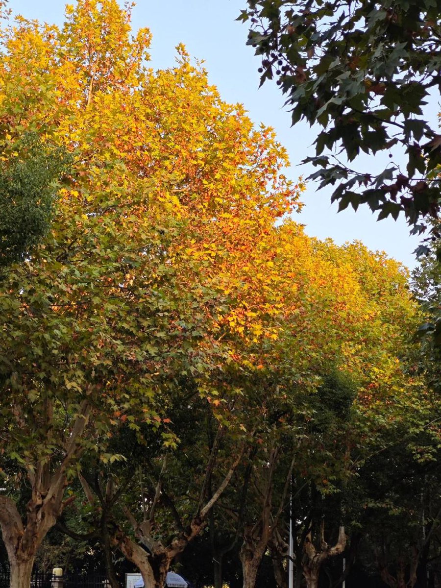 Madeline Matis tweet media