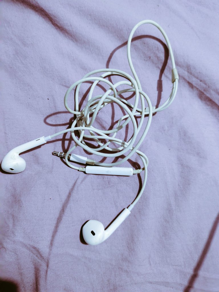 NotoriousKale tweet media