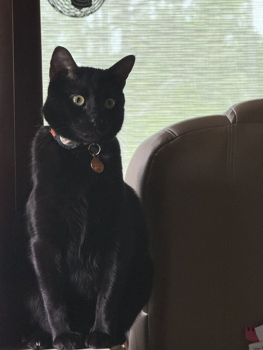 Illustrious Sir JJ 🇺🇸🇺🇸🇺🇸 tweet media