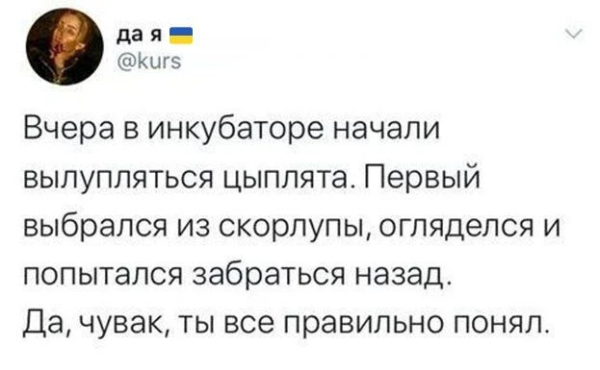 Заблудший Овц tweet media