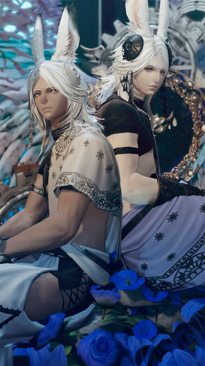 REbiseER tweet media