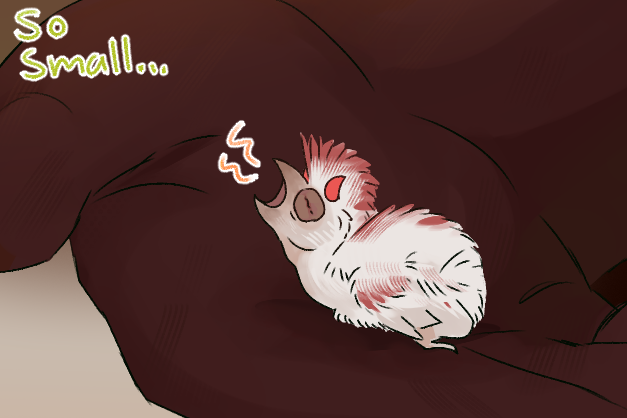 Venomshannk tweet media