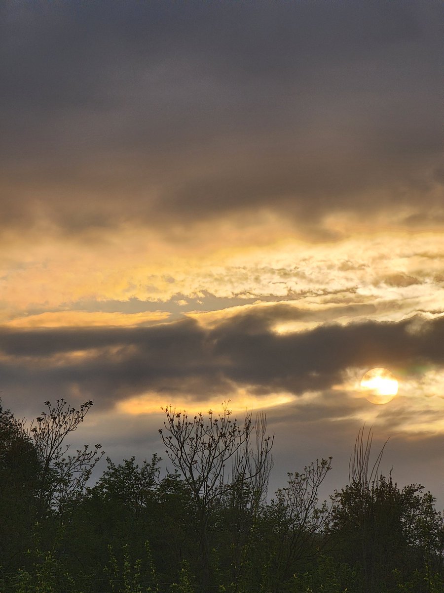 Muhammad Saad tweet media