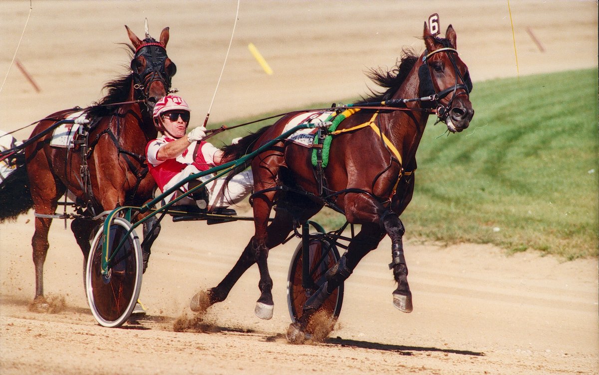 Western Dreamer, winner of the 1997 Little Brown Jug, recently passed at the age of 32. He was retired from racing after his six-year-old season and served as a Standardbred ambassador at the Kentucky Horse Park.