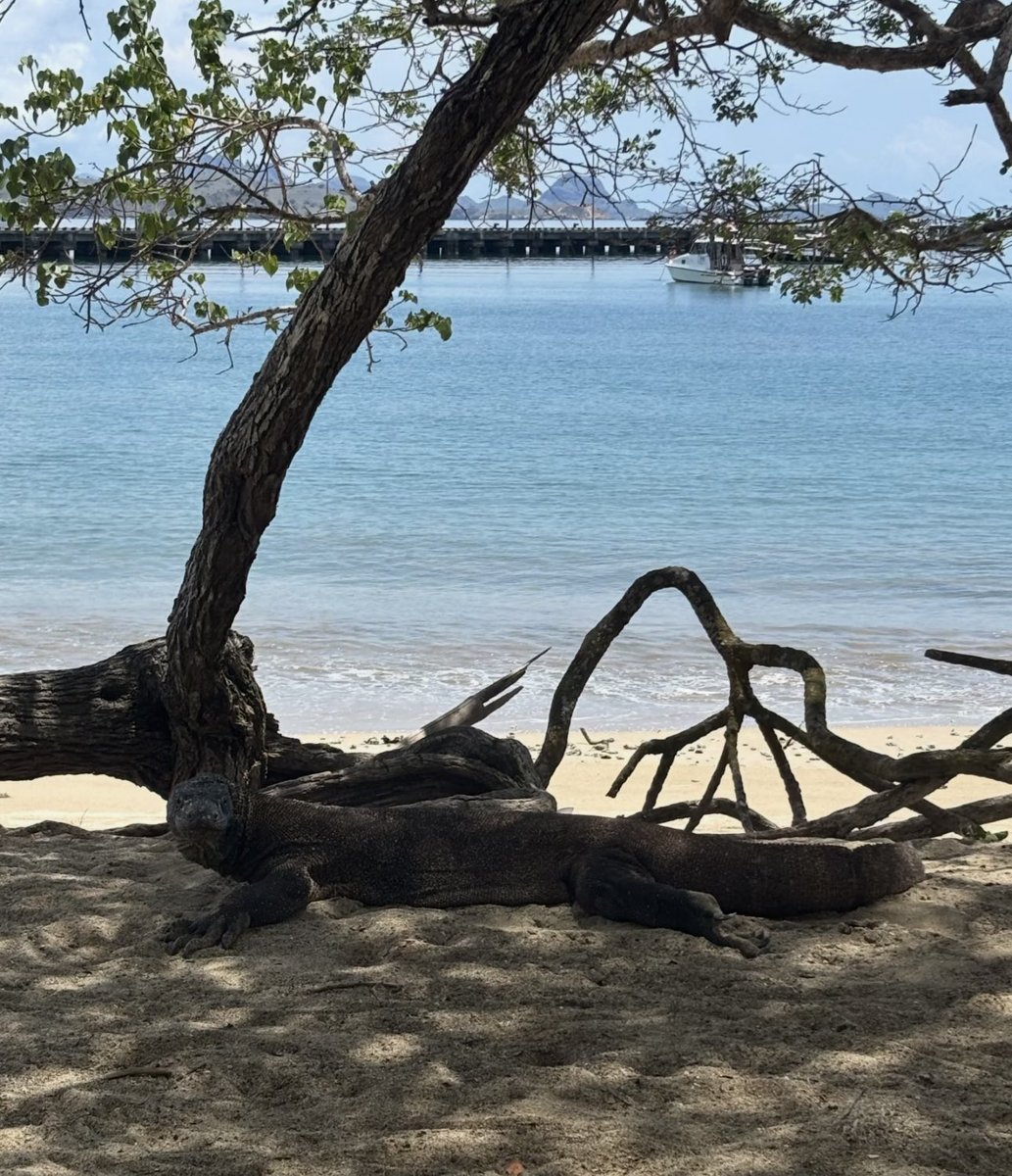 Noorie lova tweet media