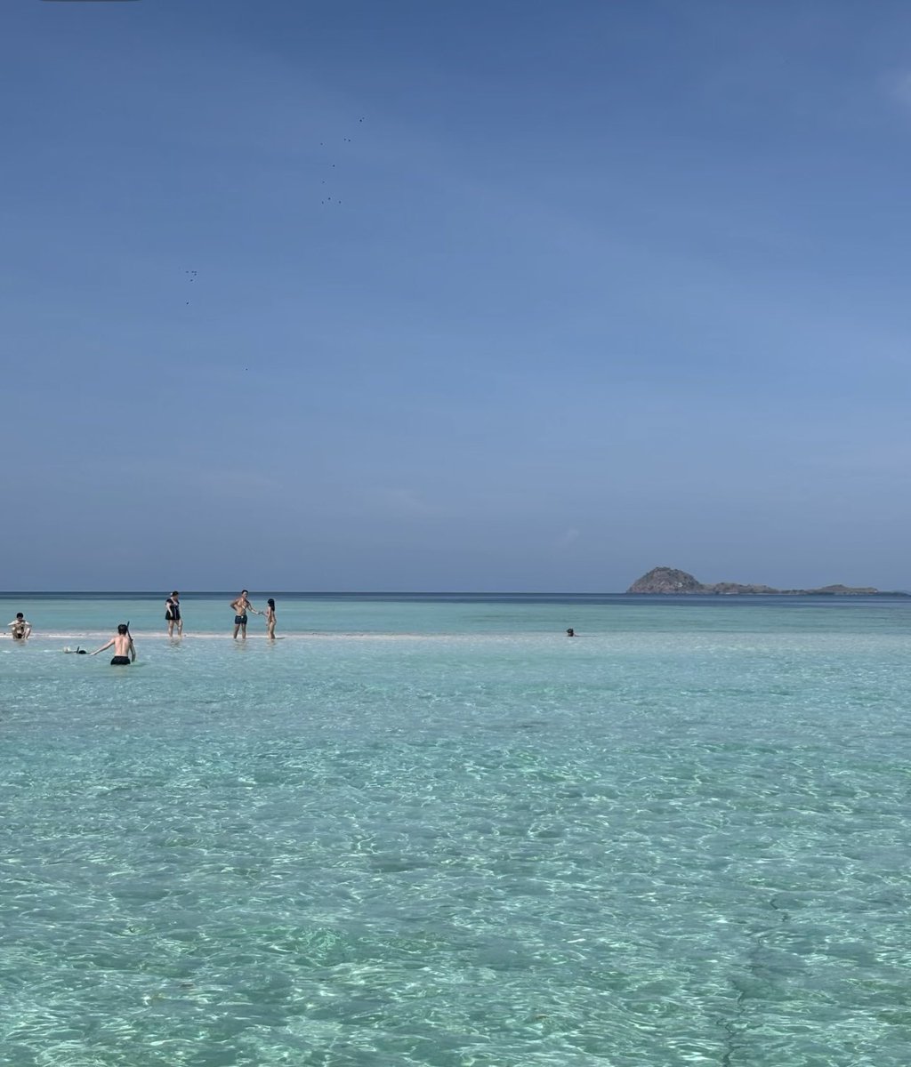 Noorie lova tweet media