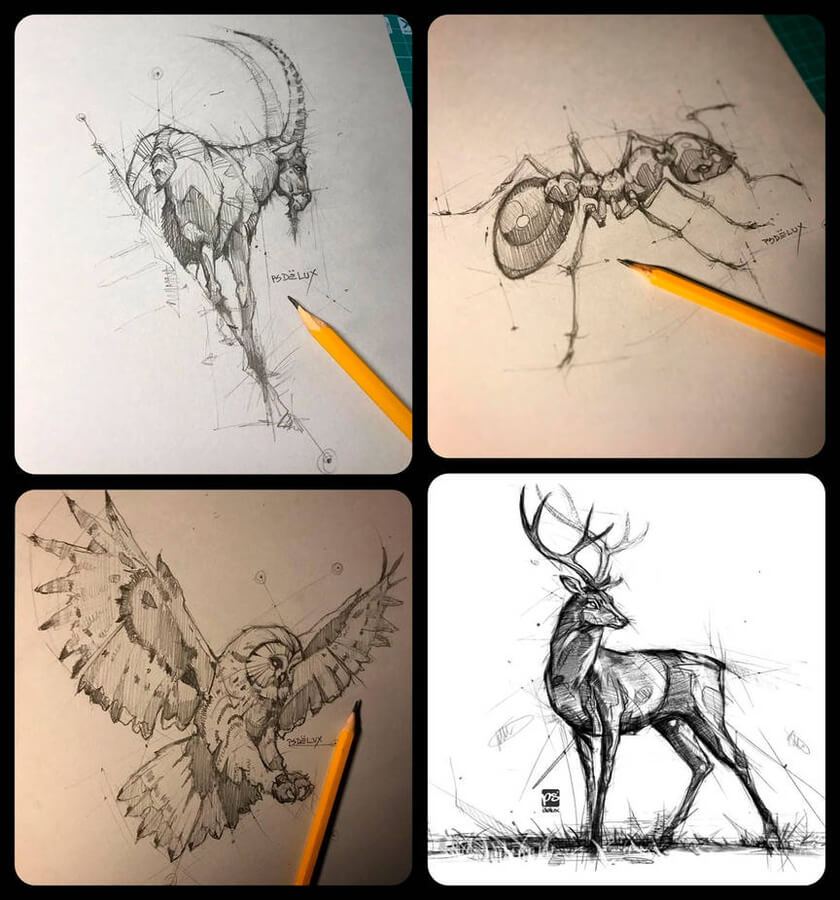 DesignStack.co tweet media