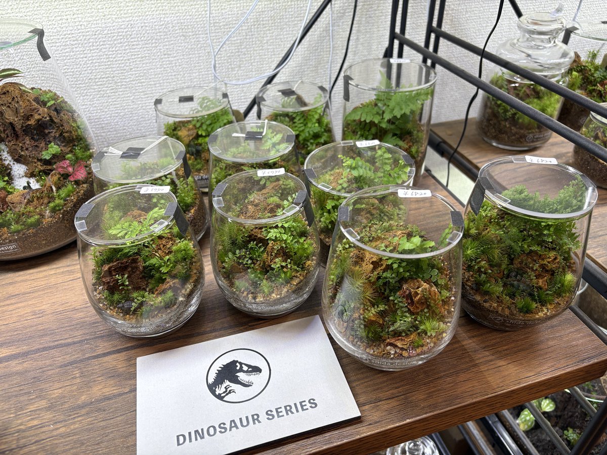 道草 michikusa tweet media