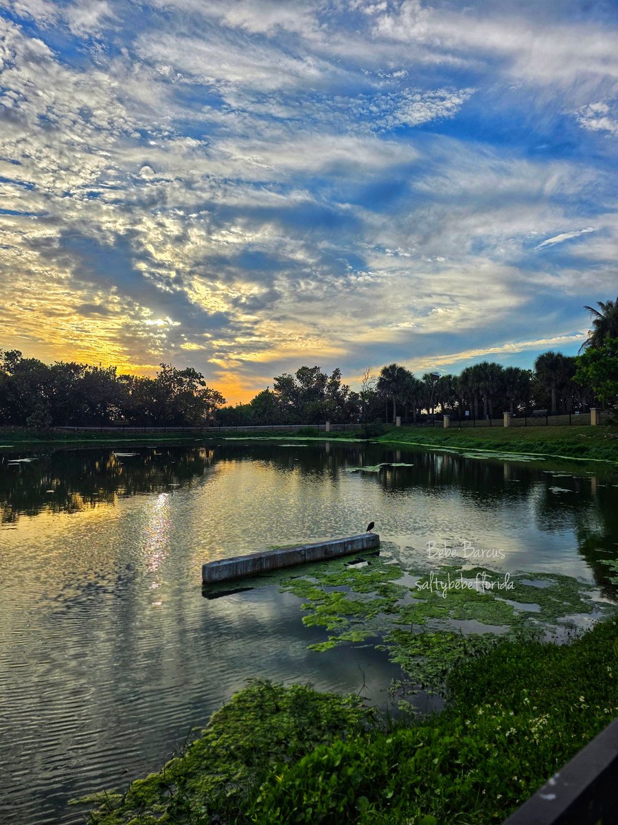 last night Venice 🌙 
#welivehere #flwx #stormhour #venice