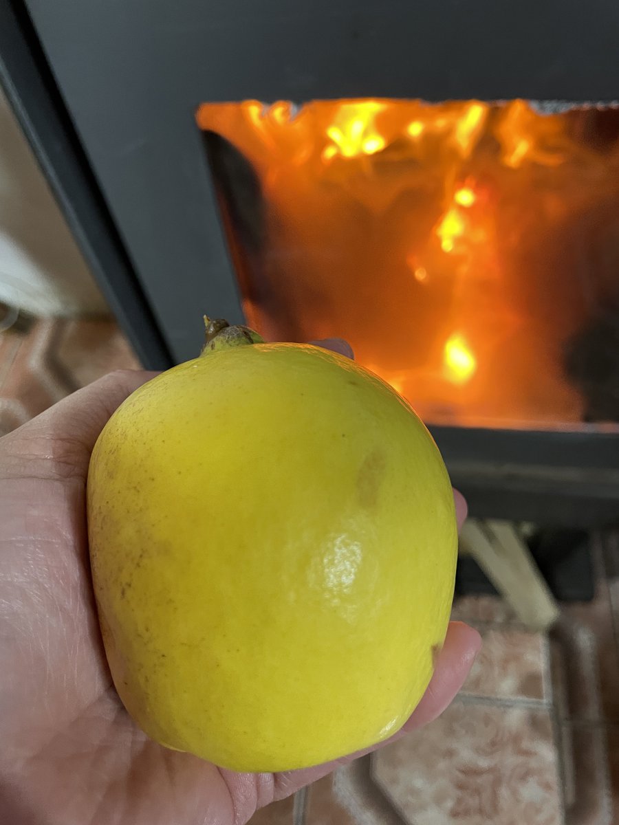 Pasajera en trance tweet media