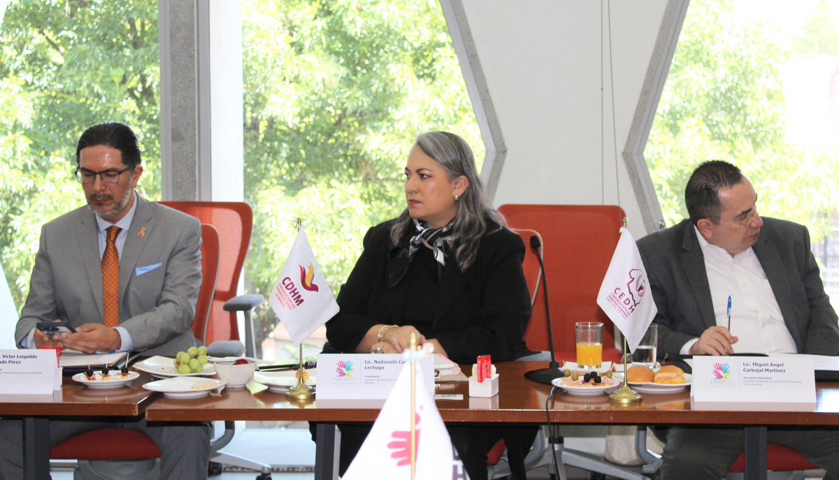 CDHMORELOS tweet media