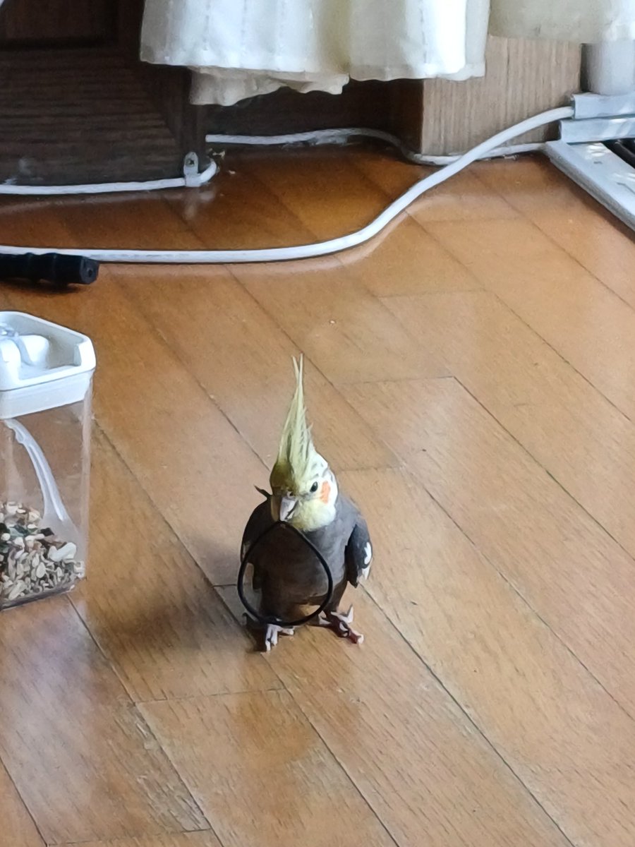 새이름쭈이 tweet media