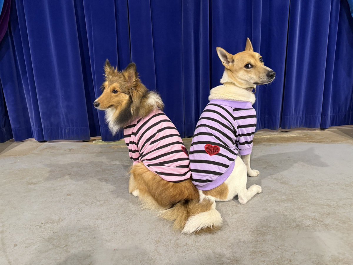 水野有彩 tweet media