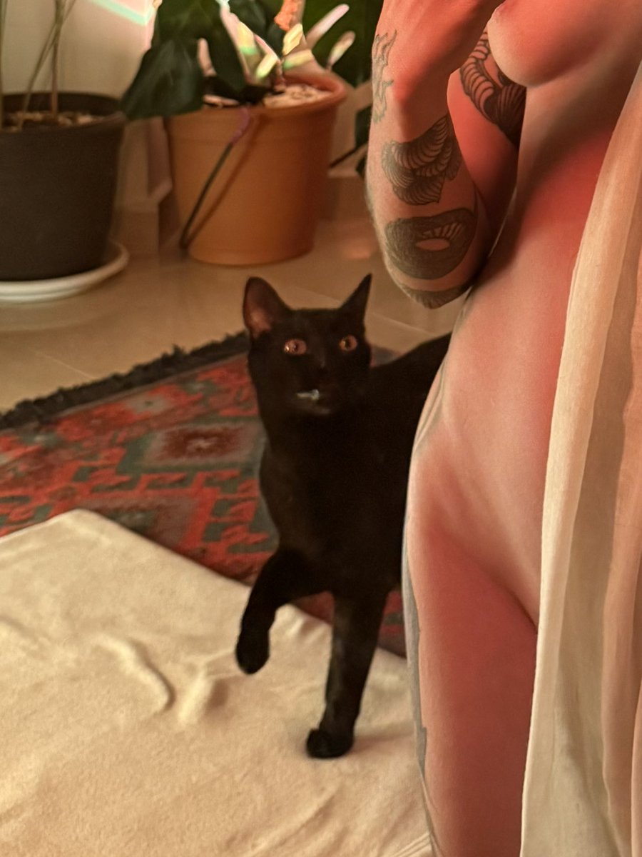 ༻✹ 𝐯𝐚𝐥𝐲 ✹༺ tweet media