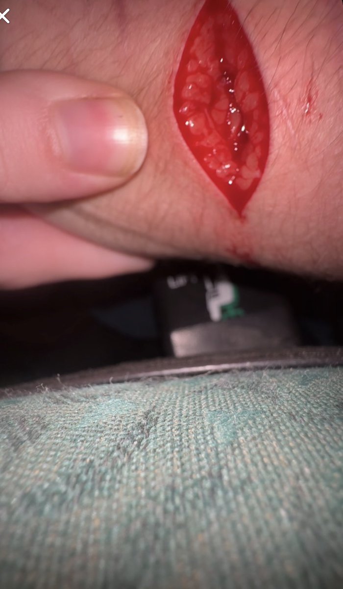 john pork of shtwt tweet media