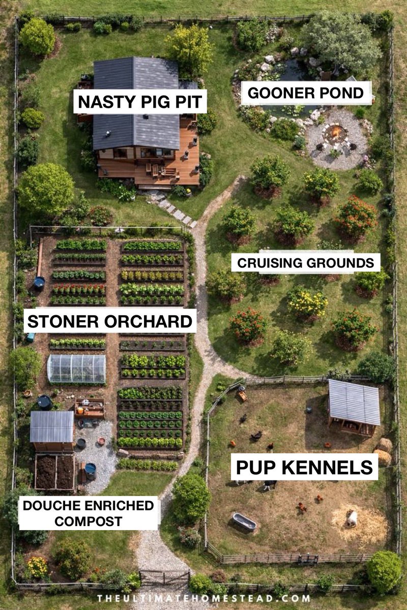 Moognific🍉 tweet media