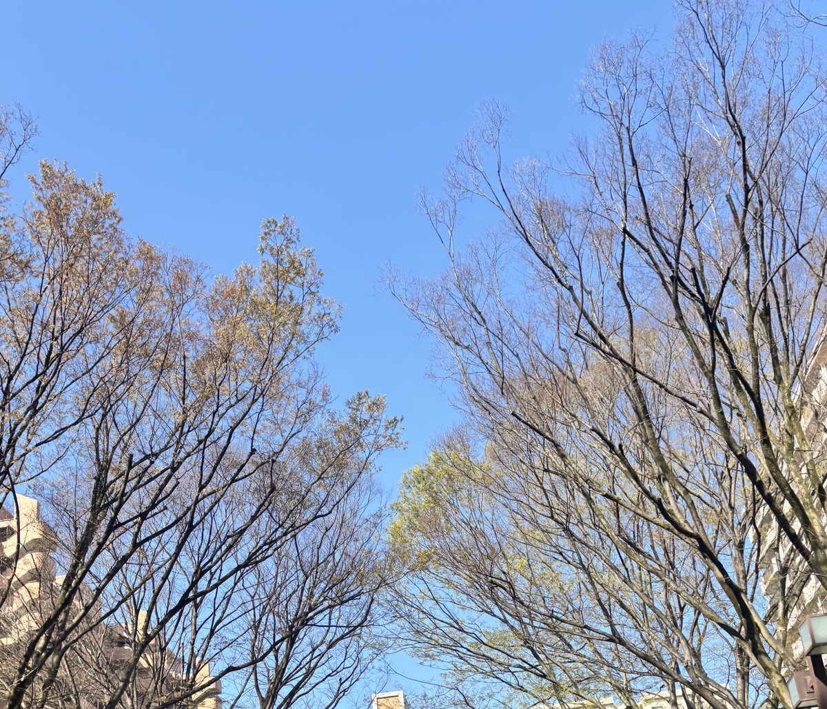 moco⭐︎ tweet media