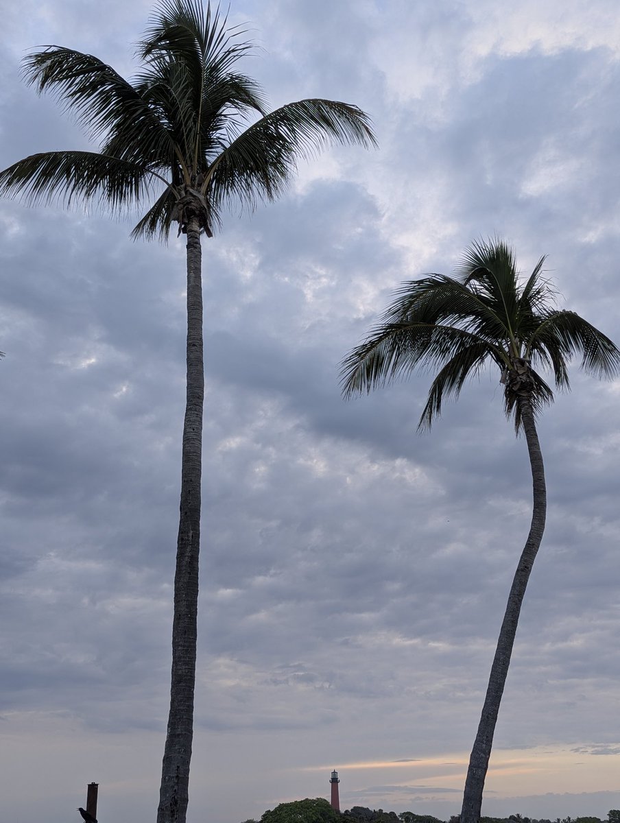 Sheila the Bills 50/50 girl! ❤️🏈💙 tweet media