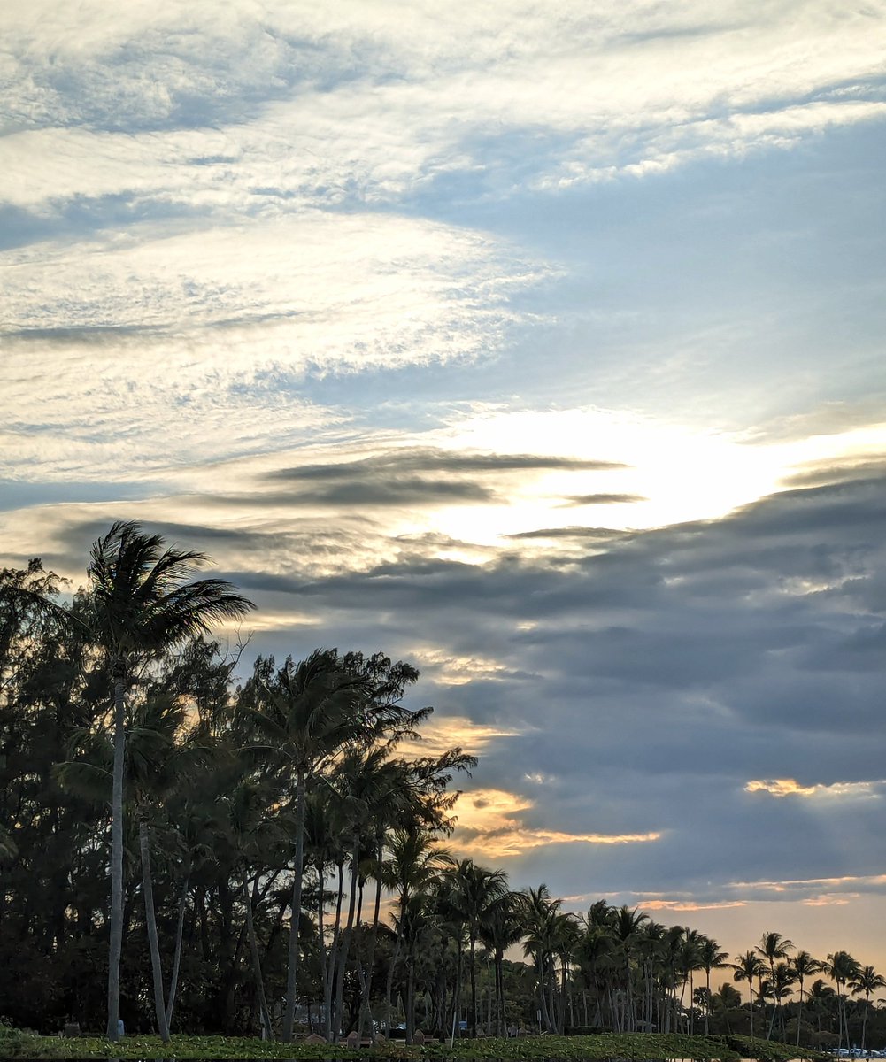 Sheila the Bills 50/50 girl! ❤️🏈💙 tweet media