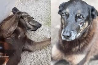 Marco Valverde ® tweet media