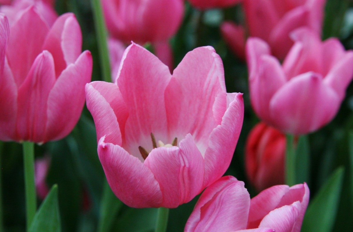 尾崎紀一 tweet media